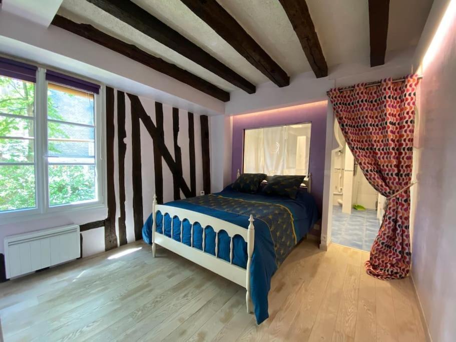 Charmant Appartement - Centre Cite Plantagenet!!! Le Mans Dış mekan fotoğraf