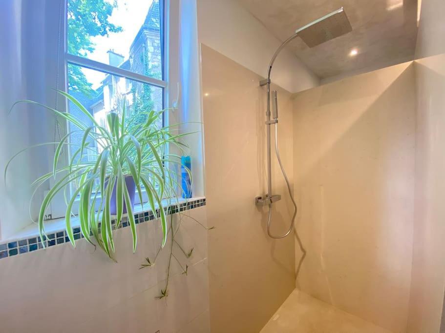 Charmant Appartement - Centre Cite Plantagenet!!! Le Mans Dış mekan fotoğraf
